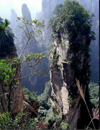 長(zhǎng)沙出發(fā)到張家界溶洞奇觀黃龍洞、國(guó)家森林公園、袁家界、峰林之王天子山三日游（早班）